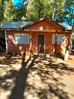 Cabin in native forest and hot tubs - 0