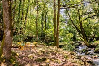 Moulin Plouyaec - gîte bordé de verdure, sa rivière et son étang - 6