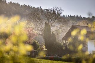 Haus Vogl Anger - Ferienwohnungen mit privater Sauna und beheizten Salzwasser Pool in Panoramalage und Nähe zu Salzburg und Berchtesgaden - 2