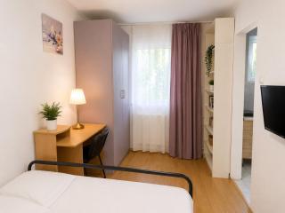 Central studio Alba Iulia - 9