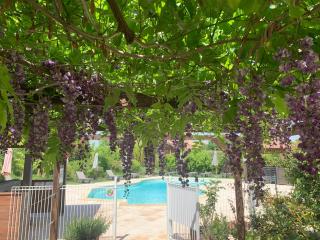 Du glamping entre Albi et Tououse - 9
