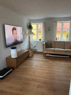 Large and charming apartment with a huge roof terrace - 5
