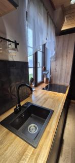 Kierunek Puszcza 2 Apartamenty - Balia, Sauna, Grota solna - max 14 osob - 1