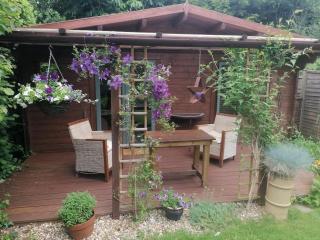 Beautiful Cabin with on street parking - 5