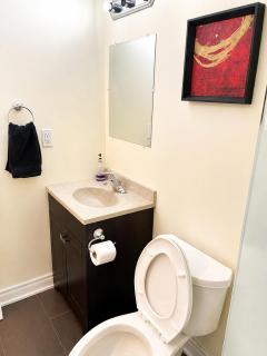 Affordable Spacious Private Suite & Ensuite Bath & Free Parking Near Toronto Pearson Airport - 7