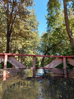 Cabin in native forest and tubs - 9