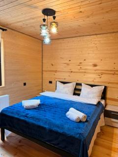 Tobani Cottage Kazbegi - 1