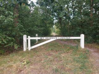 Chalet 117 rand Veluwe in het bos, tegen de heide aan en nabij de IJssel - 3