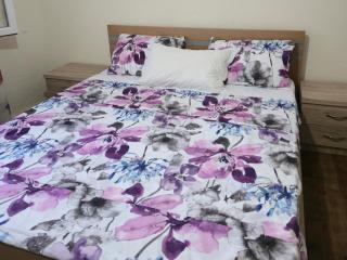 Moza Guesthouse Fterre - 7