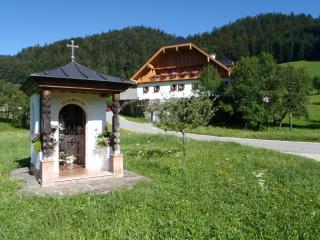 Russbachbauer - St. Wolfgang im Salzkammergut - 7