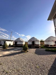 Yurt house - 5