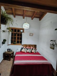 Habitación Helechos azules - 0
