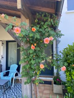 Chambres d'Elisa - 8