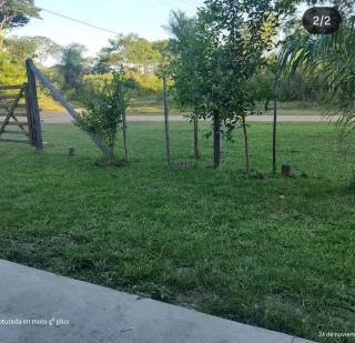 Quinta Paso - 7