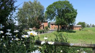 Landidylle - Hof in de Wisch - 0