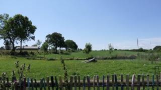 Landidylle - Hof in de Wisch - 5