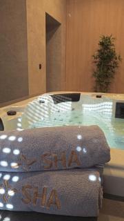 Luxury wellness apartment SHA - 8