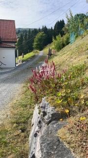 Stryn Panorama - 2