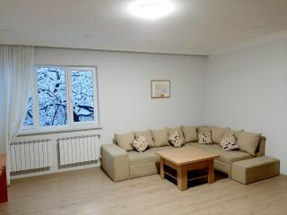 Relax garden area with BBQ zone - Erevan - 9