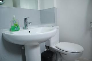 Luxury Modern Flat BHX NEC Solihull Hospital Free Parking - 3