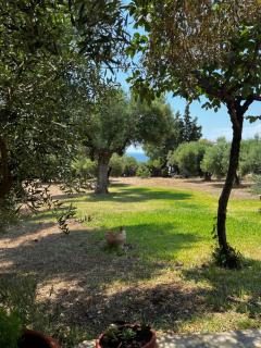Country Vila - 9