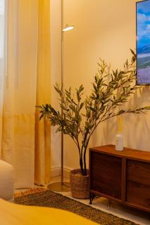 Appartement moderne 2 pièces - Angre nouveau CHU - 7