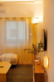 Appartement moderne 2 pièces - Angre nouveau CHU - 4