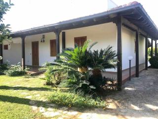 Pino's Home - 8
