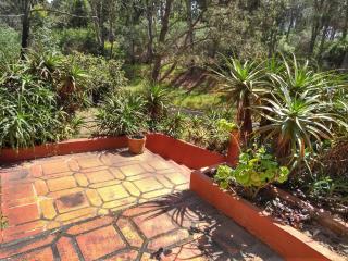 Beach and Forest House - Club del Lago - 1