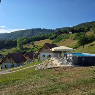 Glamping Podgoro with private hot tube - Rogatec - 9