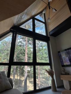 Anika - Mountain Home - 7