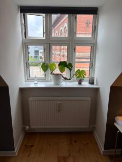 Huset ved springvandet - 3