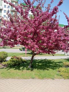 Mazury Stay - 6
