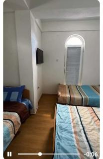 Hostel Bob - 5
