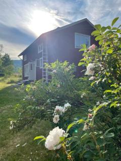 Charming 1800s Shoemaker's home on the High Coast - 9