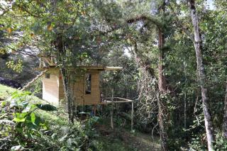 Kai Ecoglamping - 6