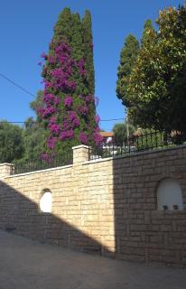 Anema Living - 5