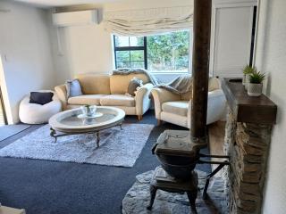 Cardrona mountain cottage - 0