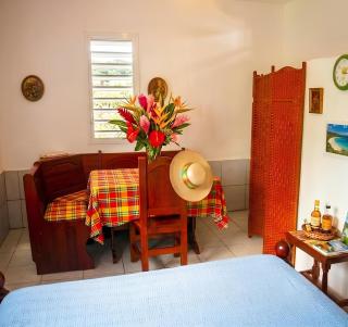 Vue mer & jardin privé , appartement climatisé proche plages - 4