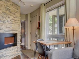 Charming Condo in the Mont Tremblant Ski Village - 8