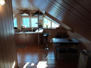 Apartman U Holica - Banská Štiavnica - 7