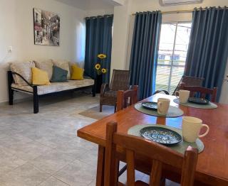 Apartamentos acogedores en el centro de Encarnación - 9