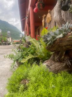 Mùa Pửi Lô lô homestay - 9