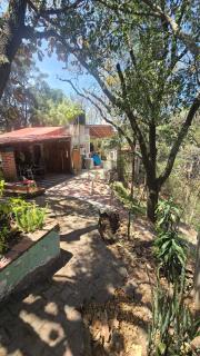 Cabaña casa vacacional bosque La Primavera Zapopan - 4