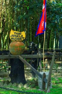 Thori Jungle Resort, chitwan National park - 7