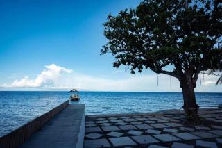 Dumaguete Dive Center - 3