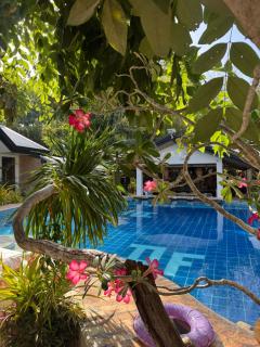 Deep Forest Garden Hotel - 9