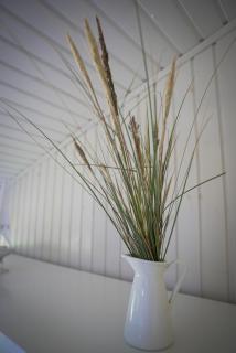 Familienfreundliches Ferienhaus Mit Wildnis-Spa - 1