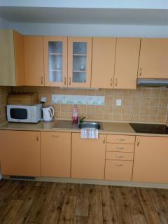 Apartmánek U lanovky - 1