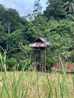 Clay house - 1
